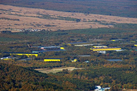 e0045768_2012203.jpg