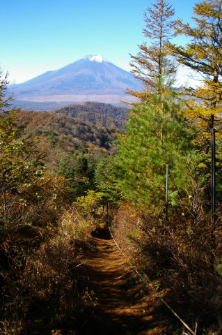 石割山に富士山を眺めに ～ 後編_e0045768_202206.jpg