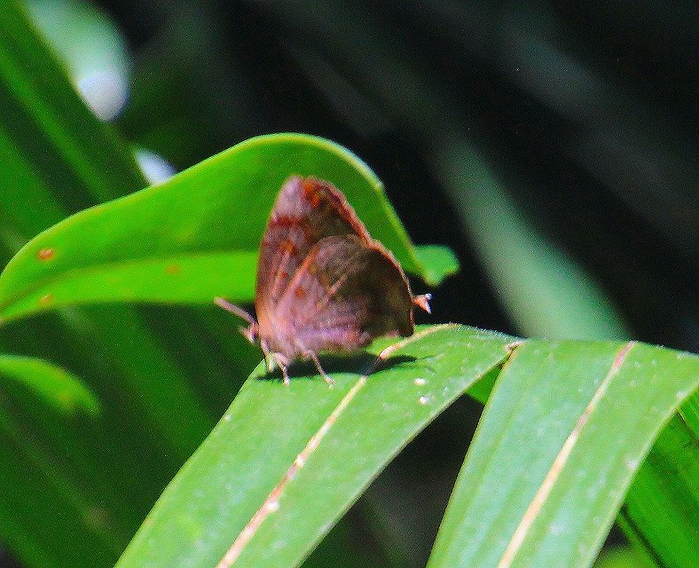 b0320769_16504942.jpg