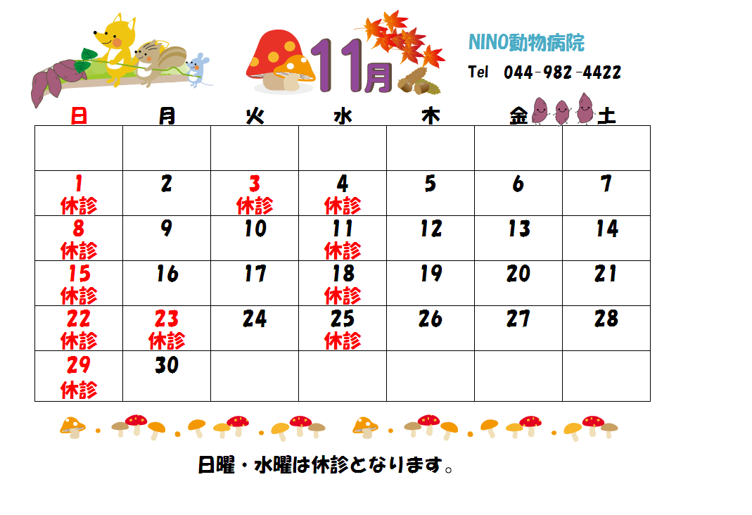 11月の診療日のお知らせ☆_e0288670_11231431.png