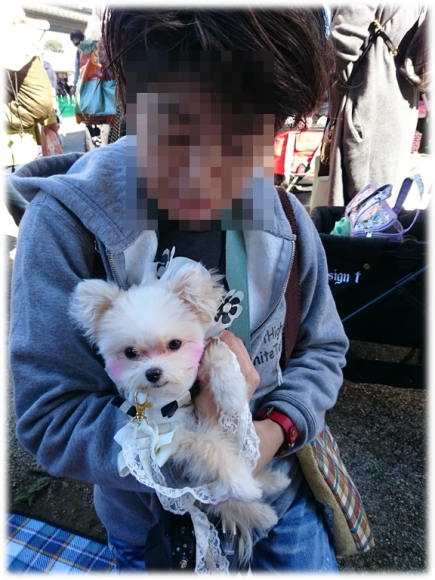 b0242873_09064692.png