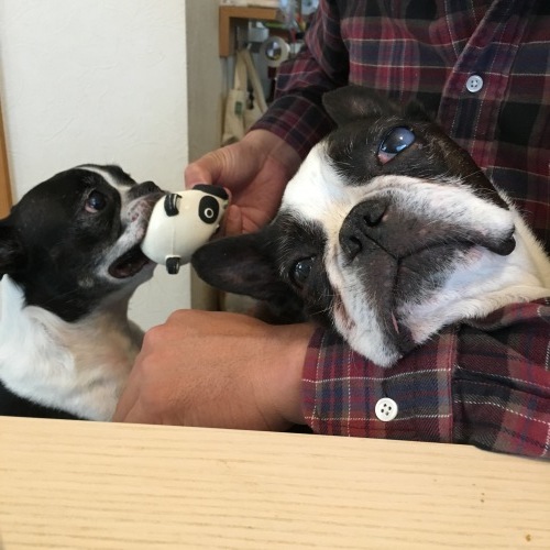 d0041575_20594155.jpeg