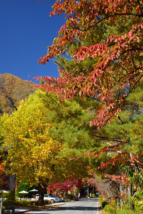 定番の駒ヶ池からの西駒_d0341880_8281095.jpg