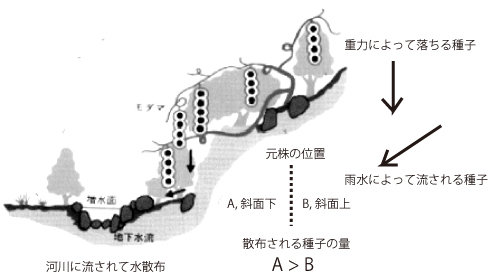 c0023181_14273248.jpg