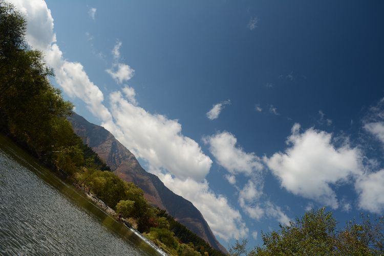 d0164783_131914.jpg