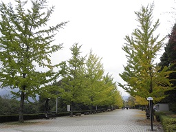 b0090284_1122238.jpg