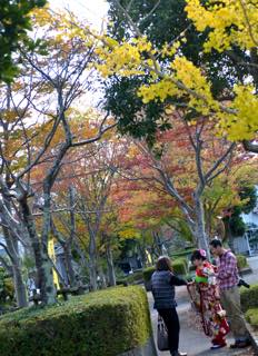 少し前に撮影行に出かけた長野県上高地.......毎年...._b0194185_21541882.jpg