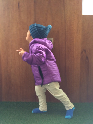 WILD THINGS !!_e0357389_15230447.jpg