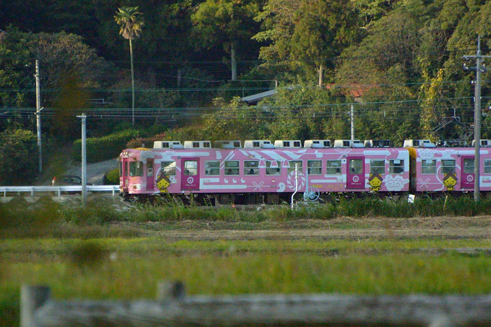 a0143491_20232781.jpg