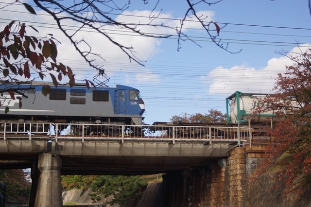 藤田八束の鉄等写真@山陽本線を元気に走る貨物列車「桃太郎」、晩秋を快走する貨物列車、川と貨物列車_d0181492_20534524.jpg