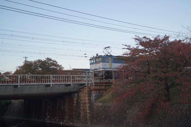 藤田八束の鉄道写真@山陽本線の貨物列車の写真、西宮市夙川公園に貨物列車撮影ポイント発見、晩秋を快走する貨物列車_d0181492_21001769.jpg