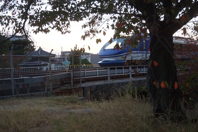 藤田八束の秋の鉄道写真@秋の山陽本線快走する貨物列車、夙川公園のさくら、学生の夢を現実にする方法_d0181492_21052292.jpg