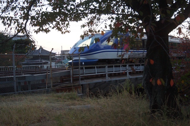 藤田八束の秋の鉄道写真@秋の山陽本線快走する貨物列車、夙川公園のさくら、学生の夢を現実にする方法_d0181492_21053357.jpg