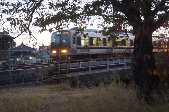 藤田八束の秋の鉄道写真@秋の山陽本線快走する貨物列車、夙川公園のさくら、学生の夢を現実にする方法_d0181492_21061354.jpg