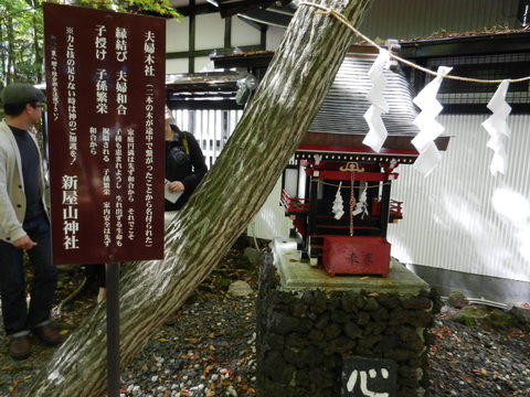 日本一の金運神社に参拝　　２の２_e0024094_15495232.jpg
