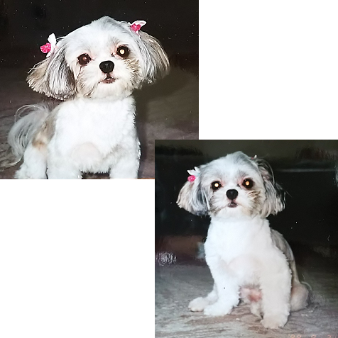 d0282395_1928286.png