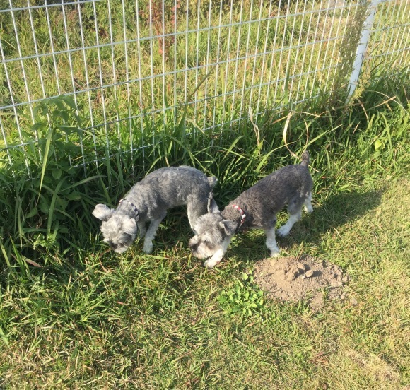 b0188998_01045671.jpeg