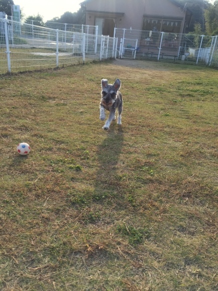 b0188998_01052751.jpeg