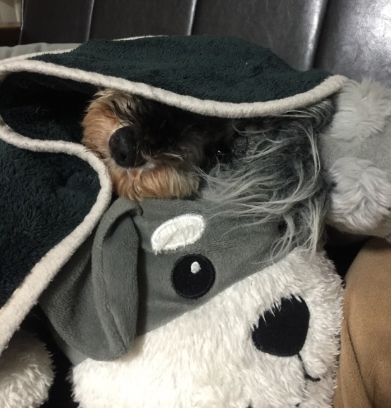 b0188998_01062438.jpeg