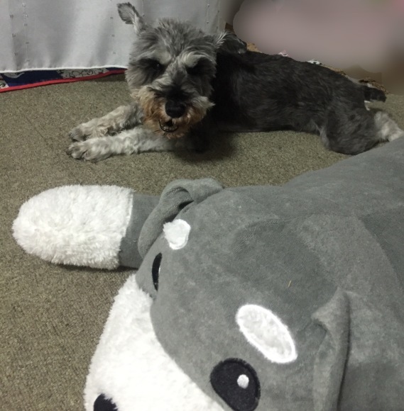 b0188998_01105825.jpeg