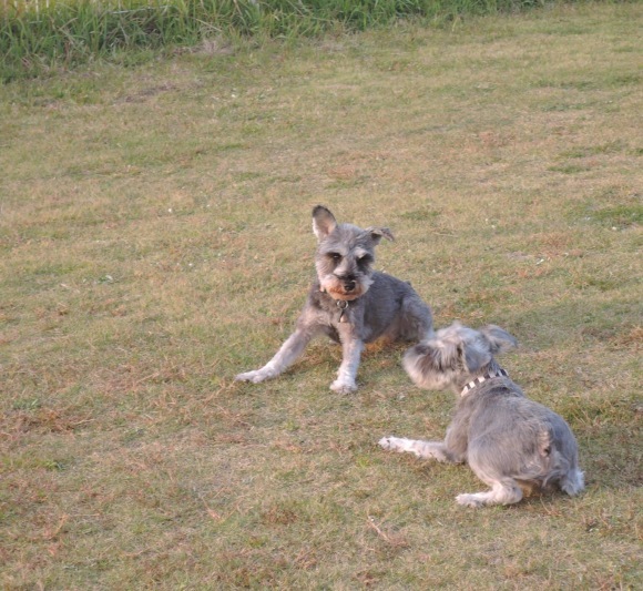 b0188998_01153828.jpeg