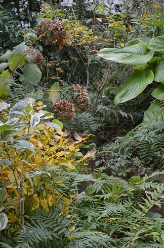 c0124100_23584911.jpg