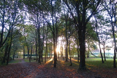 e0206902_1745381.jpg