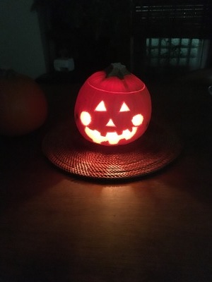c0222103_17495307.jpeg