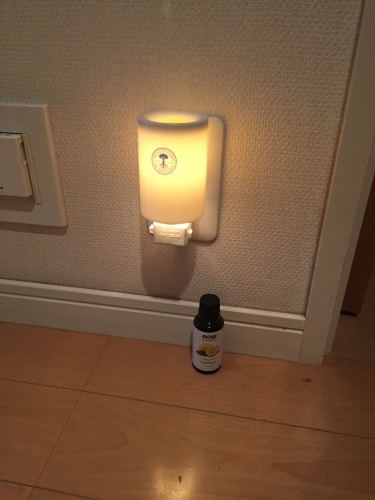 b0337406_07535527.jpeg