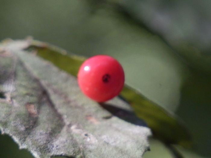 f0219710_18343839.jpg