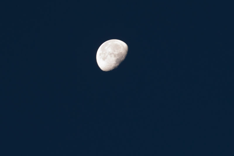 a0278914_11532628.jpg