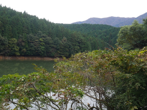 a0315918_15331006.jpg
