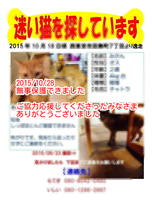 e0229436_17272860.png