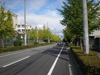b0042238_17533049.jpg