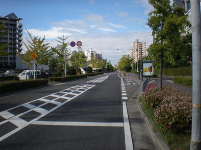b0042238_17561764.jpg