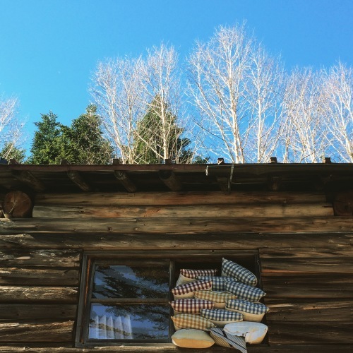 c0369344_10315783.jpeg