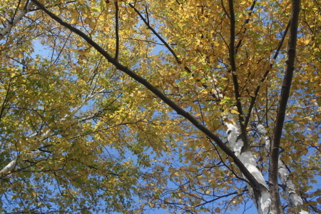 b0320746_07240246.jpg