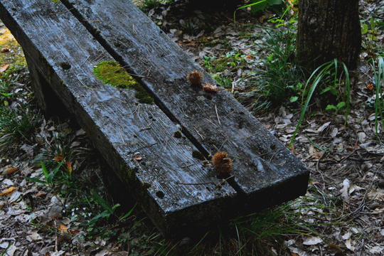 c0093046_17383687.gif