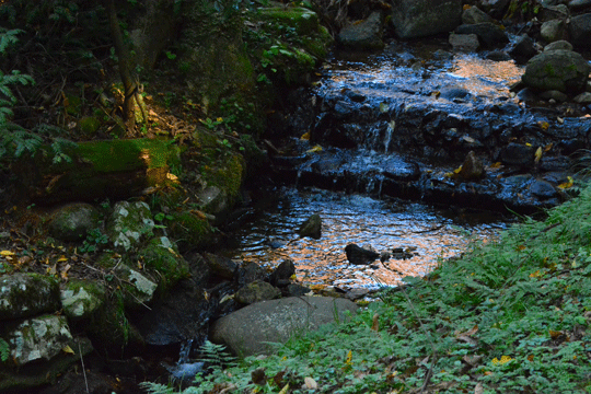 c0093046_17385697.gif