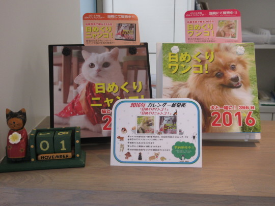 あっという間にΣ(・ω・ノ)ノ!_e0339146_11412767.jpg