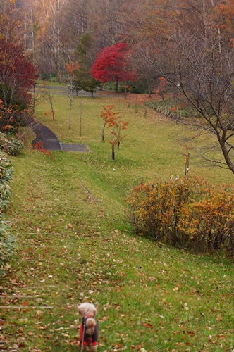 b0256148_22235559.jpg