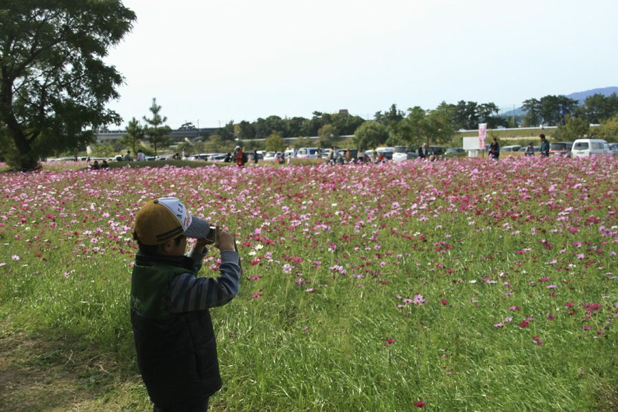 d0322448_21105555.jpg