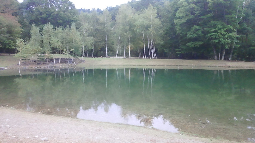 f0046250_1151158.jpg