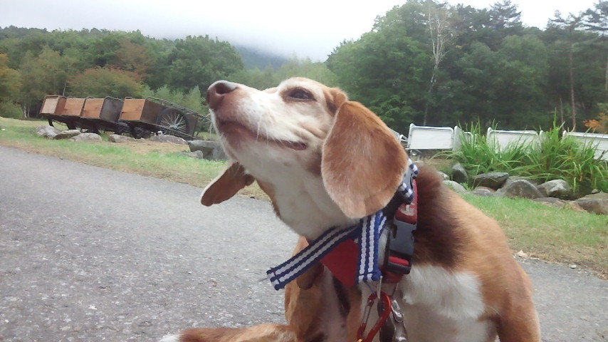 f0046250_11523066.jpg