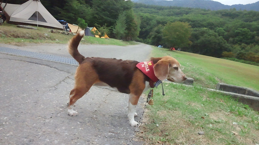 f0046250_1225153.jpg