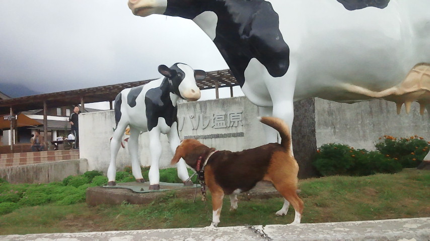 f0046250_128037.jpg