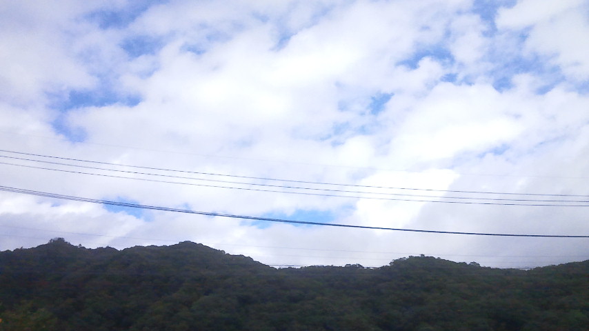 f0046250_8524729.jpg