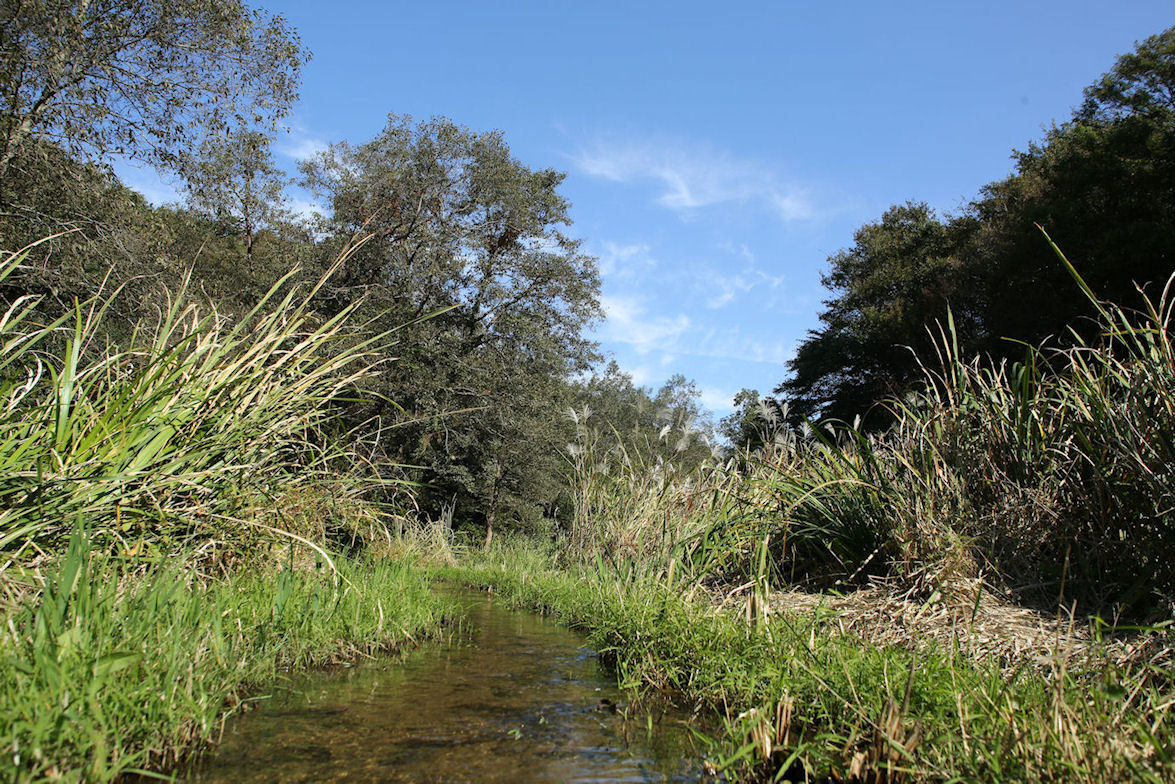 f0345350_18254674.jpg
