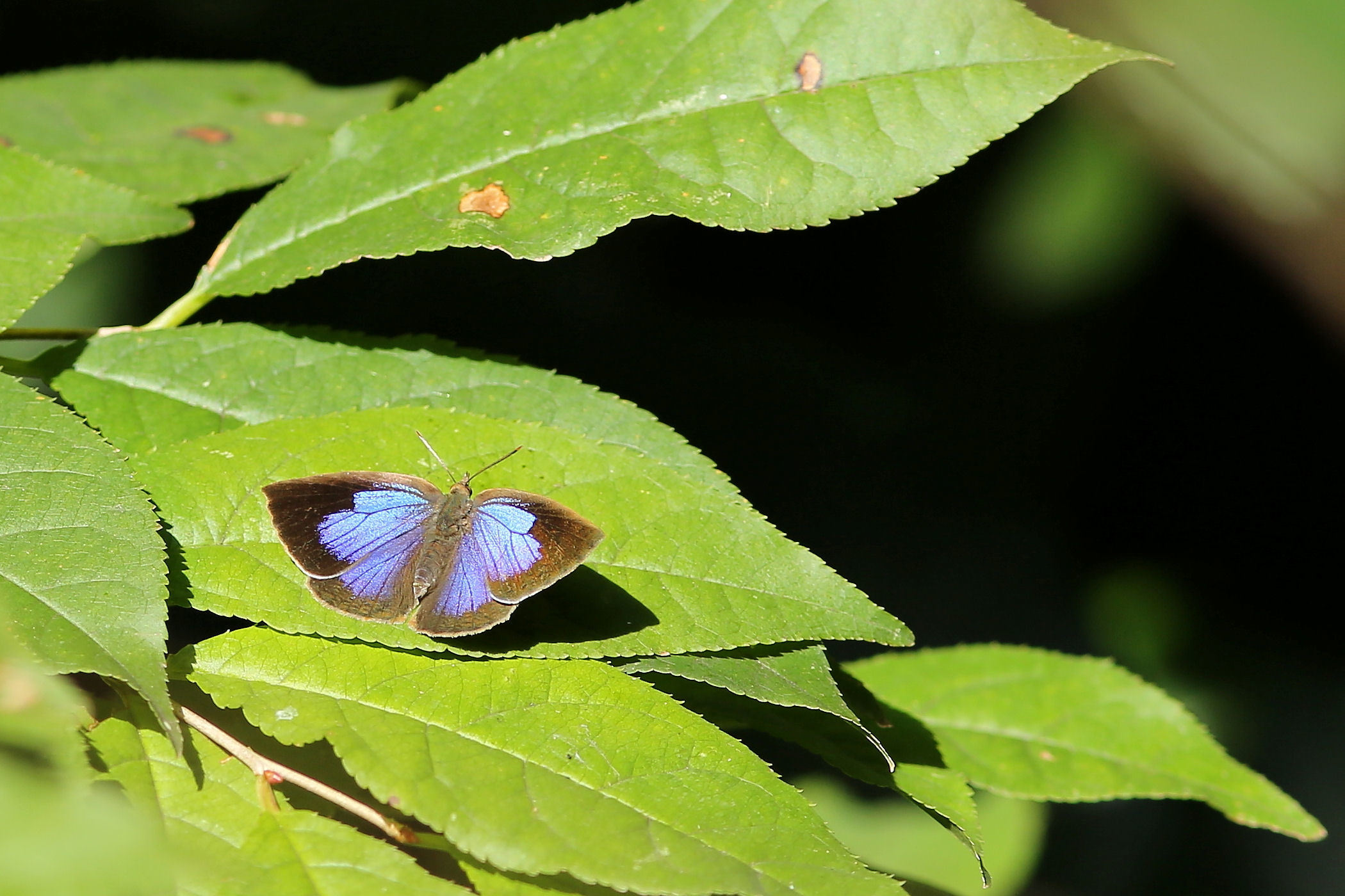 f0345350_18323166.jpg