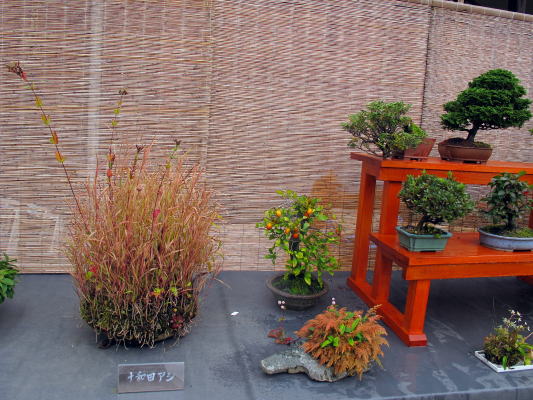 c0147952_118976.jpg
